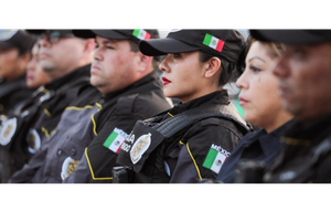 Seguridad Publica y Privada